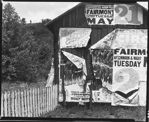 [Barn with Torn Advertisements for the Hagenbeck & Wallace Circus, Monongalia County, West Virginia], Walker Evans (American, St. Louis, Missouri 1903–1975 New Haven, Connecticut), Film negative 