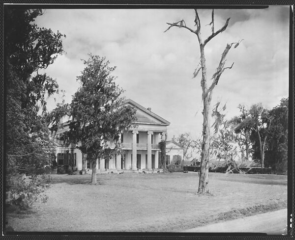 [Madewood Plantation, Napoleonville Vicinity, Louisiana], Walker Evans (American, St. Louis, Missouri 1903–1975 New Haven, Connecticut), Film negative 