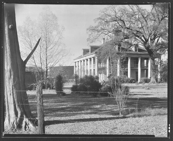 [Sevenoaks Plantation House, From Across Barbed Wire Fence, Jefferson Parish, Louisiana], Walker Evans (American, St. Louis, Missouri 1903–1975 New Haven, Connecticut), Film negative 