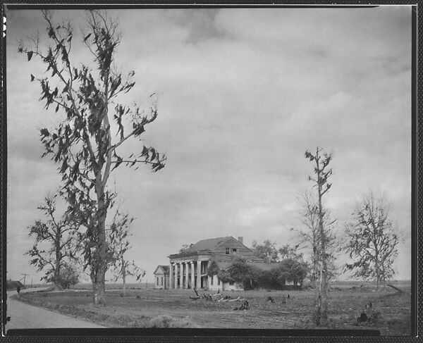 [Dilapidated Greek Revival (Plantation?) House, From Road], Walker Evans (American, St. Louis, Missouri 1903–1975 New Haven, Connecticut), Film negative 