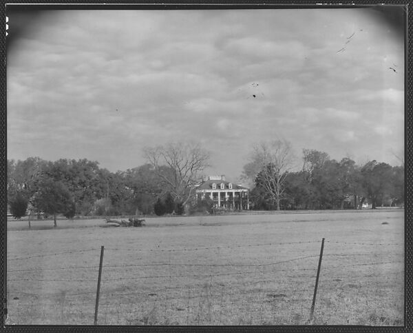 [Sevenoaks Plantation, From Across Field and Behind Wire Fence, Jefferson Parish, Louisiana], Walker Evans (American, St. Louis, Missouri 1903–1975 New Haven, Connecticut), Film negative 