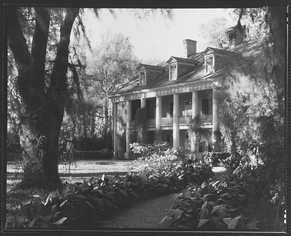 [Brick Greek Revival House with Ivy on Columns, Residence of Weeks Hall, New Iberia, Louisiana], Walker Evans (American, St. Louis, Missouri 1903–1975 New Haven, Connecticut), Film negative 