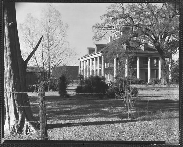 [Sevenoaks Plantation House, Jefferson Parish, Louisiana], Walker Evans (American, St. Louis, Missouri 1903–1975 New Haven, Connecticut), Film negative 