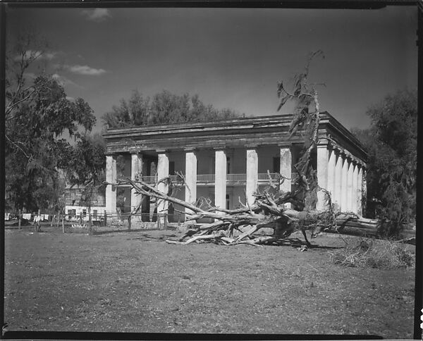 [Belle Helene Plantation House with Uprooted Tree in Foreground, Louisiana], Walker Evans (American, St. Louis, Missouri 1903–1975 New Haven, Connecticut), Film negative 
