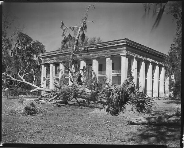 [Belle Helene Plantation House with Uprooted Tree in Foreground, Louisiana], Walker Evans (American, St. Louis, Missouri 1903–1975 New Haven, Connecticut), Film negative 