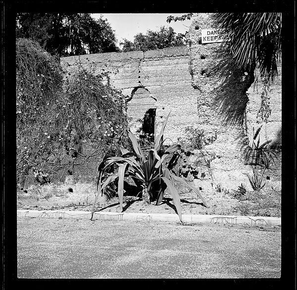 [125 Views of West Coast of Florida, Including: Women on Benches in Sarasota, Mangroves, Pelicans, Shuffleboard Players, Men on Street in Tampa, Sponge Diving Wharves at Tarpon Springs, Coastal Residences, Fishermen, and Miscellaneous Street Scenes], Walker Evans (American, St. Louis, Missouri 1903–1975 New Haven, Connecticut), Film negative