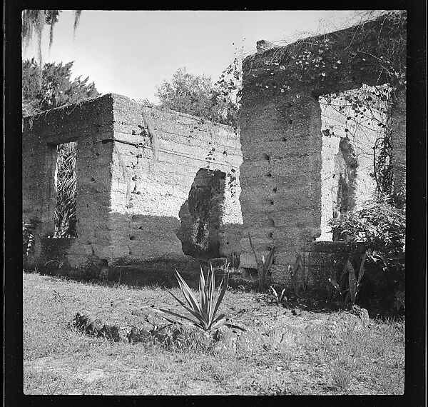 [125 Views of West Coast of Florida, Including: Women on Benches in Sarasota, Mangroves, Pelicans, Shuffleboard Players, Men on Street in Tampa, Sponge Diving Wharves at Tarpon Springs, Coastal Residences, Fishermen, and Miscellaneous Street Scenes], Walker Evans (American, St. Louis, Missouri 1903–1975 New Haven, Connecticut), Film negative