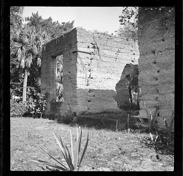 [125 Views of West Coast of Florida, Including: Women on Benches in Sarasota, Mangroves, Pelicans, Shuffleboard Players, Men on Street in Tampa, Sponge Diving Wharves at Tarpon Springs, Coastal Residences, Fishermen, and Miscellaneous Street Scenes], Walker Evans (American, St. Louis, Missouri 1903–1975 New Haven, Connecticut), Film negative