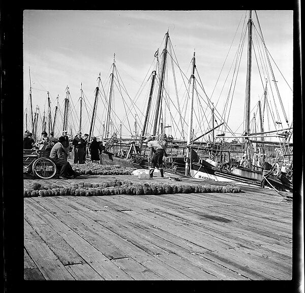 [125 Views of West Coast of Florida, Including: Women on Benches in Sarasota, Mangroves, Pelicans, Shuffleboard Players, Men on Street in Tampa, Sponge Diving Wharves at Tarpon Springs, Coastal Residences, Fishermen, and Miscellaneous Street Scenes], Walker Evans (American, St. Louis, Missouri 1903–1975 New Haven, Connecticut), Film negative