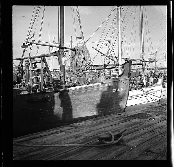 [125 Views of West Coast of Florida, Including: Women on Benches in Sarasota, Mangroves, Pelicans, Shuffleboard Players, Men on Street in Tampa, Sponge Diving Wharves at Tarpon Springs, Coastal Residences, Fishermen, and Miscellaneous Street Scenes], Walker Evans (American, St. Louis, Missouri 1903–1975 New Haven, Connecticut), Film negative