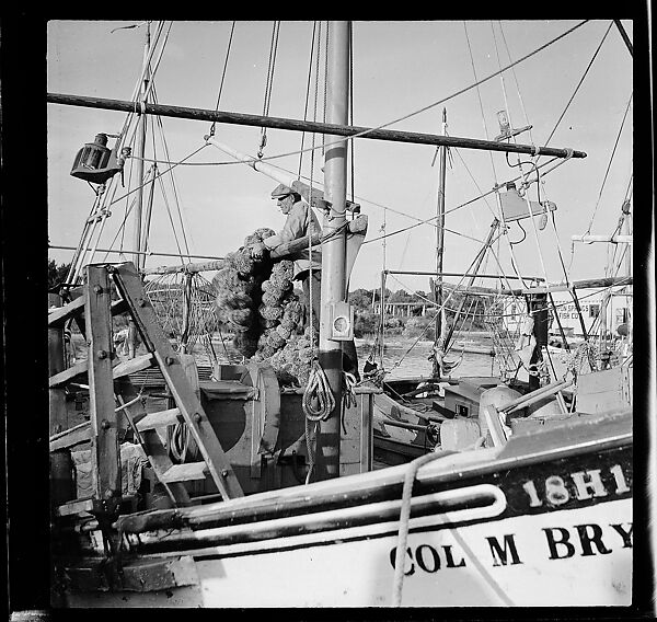 [125 Views of West Coast of Florida, Including: Women on Benches in Sarasota, Mangroves, Pelicans, Shuffleboard Players, Men on Street in Tampa, Sponge Diving Wharves at Tarpon Springs, Coastal Residences, Fishermen, and Miscellaneous Street Scenes], Walker Evans (American, St. Louis, Missouri 1903–1975 New Haven, Connecticut), Film negative