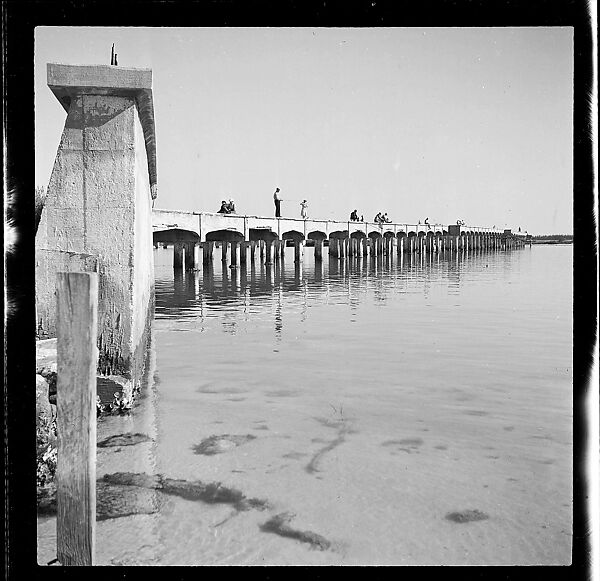 [125 Views of West Coast of Florida, Including: Women on Benches in Sarasota, Mangroves, Pelicans, Shuffleboard Players, Men on Street in Tampa, Sponge Diving Wharves at Tarpon Springs, Coastal Residences, Fishermen, and Miscellaneous Street Scenes], Walker Evans (American, St. Louis, Missouri 1903–1975 New Haven, Connecticut), Film negative