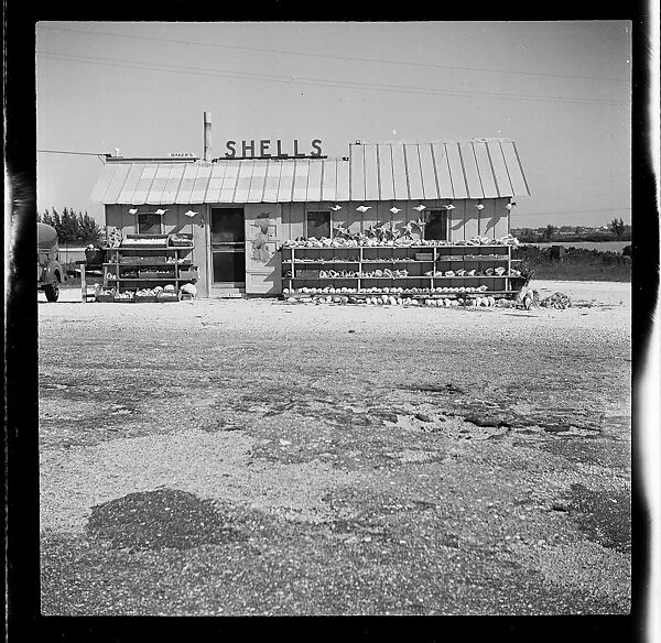 [125 Views of West Coast of Florida, Including: Women on Benches in Sarasota, Mangroves, Pelicans, Shuffleboard Players, Men on Street in Tampa, Sponge Diving Wharves at Tarpon Springs, Coastal Residences, Fishermen, and Miscellaneous Street Scenes], Walker Evans (American, St. Louis, Missouri 1903–1975 New Haven, Connecticut), Film negative