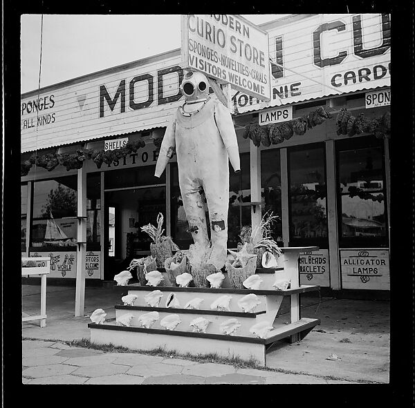 [125 Views of West Coast of Florida, Including: Women on Benches in Sarasota, Mangroves, Pelicans, Shuffleboard Players, Men on Street in Tampa, Sponge Diving Wharves at Tarpon Springs, Coastal Residences, Fishermen, and Miscellaneous Street Scenes], Walker Evans (American, St. Louis, Missouri 1903–1975 New Haven, Connecticut), Film negative