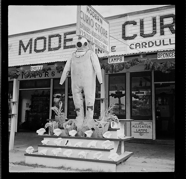 [125 Views of West Coast of Florida, Including: Women on Benches in Sarasota, Mangroves, Pelicans, Shuffleboard Players, Men on Street in Tampa, Sponge Diving Wharves at Tarpon Springs, Coastal Residences, Fishermen, and Miscellaneous Street Scenes], Walker Evans (American, St. Louis, Missouri 1903–1975 New Haven, Connecticut), Film negative