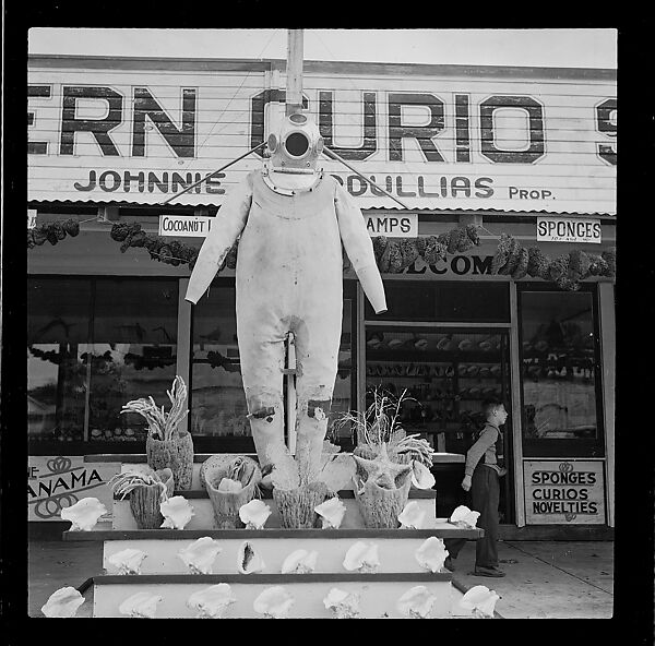 [125 Views of West Coast of Florida, Including: Women on Benches in Sarasota, Mangroves, Pelicans, Shuffleboard Players, Men on Street in Tampa, Sponge Diving Wharves at Tarpon Springs, Coastal Residences, Fishermen, and Miscellaneous Street Scenes], Walker Evans (American, St. Louis, Missouri 1903–1975 New Haven, Connecticut), Film negative