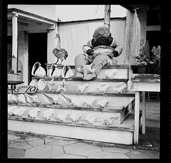 [125 Views of West Coast of Florida, Including: Women on Benches in Sarasota, Mangroves, Pelicans, Shuffleboard Players, Men on Street in Tampa, Sponge Diving Wharves at Tarpon Springs, Coastal Residences, Fishermen, and Miscellaneous Street Scenes], Walker Evans (American, St. Louis, Missouri 1903–1975 New Haven, Connecticut), Film negative