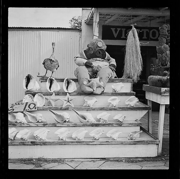 [125 Views of West Coast of Florida, Including: Women on Benches in Sarasota, Mangroves, Pelicans, Shuffleboard Players, Men on Street in Tampa, Sponge Diving Wharves at Tarpon Springs, Coastal Residences, Fishermen, and Miscellaneous Street Scenes], Walker Evans (American, St. Louis, Missouri 1903–1975 New Haven, Connecticut), Film negative
