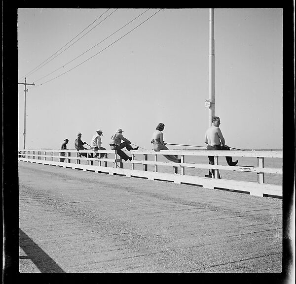 [125 Views of West Coast of Florida, Including: Women on Benches in Sarasota, Mangroves, Pelicans, Shuffleboard Players, Men on Street in Tampa, Sponge Diving Wharves at Tarpon Springs, Coastal Residences, Fishermen, and Miscellaneous Street Scenes], Walker Evans (American, St. Louis, Missouri 1903–1975 New Haven, Connecticut), Film negative