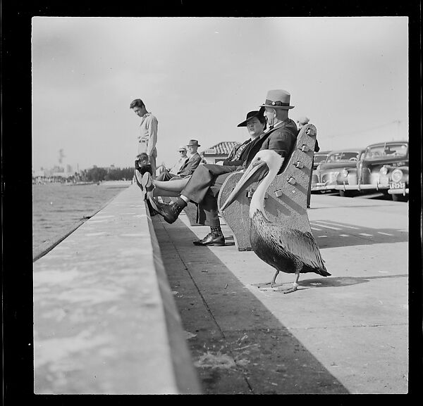 [125 Views of West Coast of Florida, Including: Women on Benches in Sarasota, Mangroves, Pelicans, Shuffleboard Players, Men on Street in Tampa, Sponge Diving Wharves at Tarpon Springs, Coastal Residences, Fishermen, and Miscellaneous Street Scenes], Walker Evans (American, St. Louis, Missouri 1903–1975 New Haven, Connecticut), Film negative