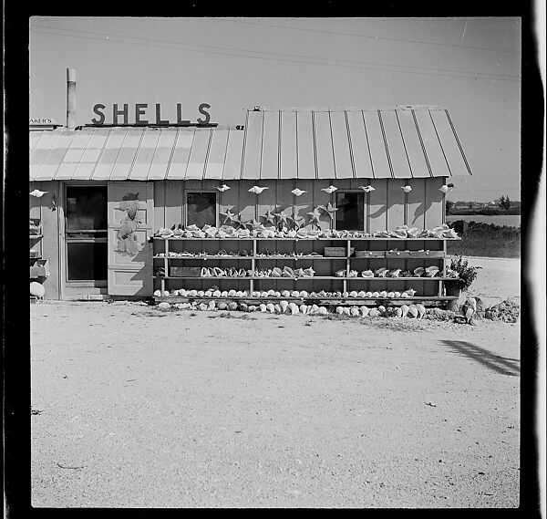 [125 Views of West Coast of Florida, Including: Women on Benches in Sarasota, Mangroves, Pelicans, Shuffleboard Players, Men on Street in Tampa, Sponge Diving Wharves at Tarpon Springs, Coastal Residences, Fishermen, and Miscellaneous Street Scenes], Walker Evans (American, St. Louis, Missouri 1903–1975 New Haven, Connecticut), Film negative