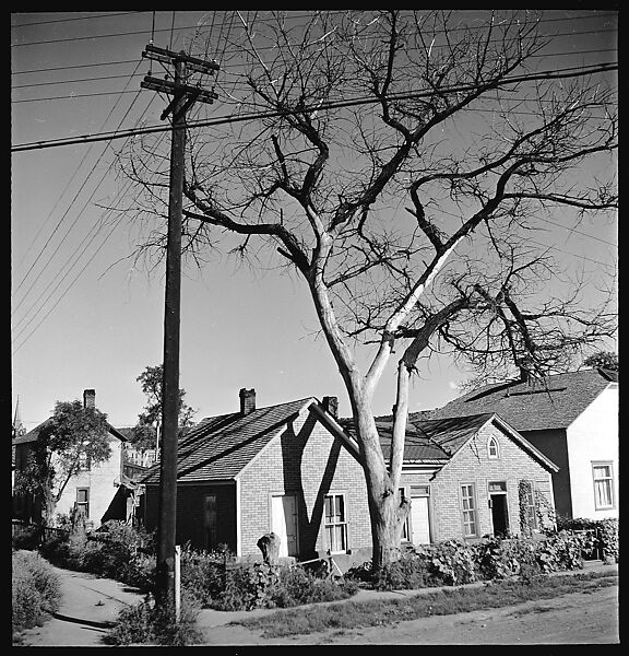 [231 Portraits of Trucking Company Executives and Views from Train, Commissioned by Fortune Magazine for "The Gentle Truckers" and "Along the Right of Way", Published May and September 1950], Walker Evans (American, St. Louis, Missouri 1903–1975 New Haven, Connecticut), Film negative
