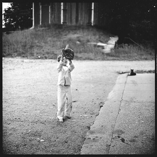 [52 Portraits of Unknown Family and Isabelle Evans in Conversation Around Outdoor Table], Walker Evans (American, St. Louis, Missouri 1903–1975 New Haven, Connecticut), Film negative 