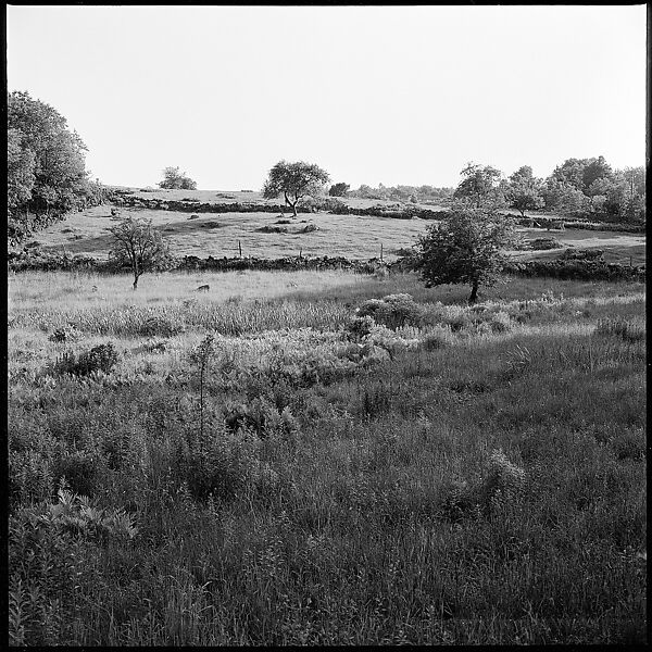 [35 Views of Third Avenue Shopfronts, Apartment Buildings, and Street Scenes, Made for an Unpublished Fortune Portfolio, Including 2 Error Frames and 3 Rural Scenes], Walker Evans (American, St. Louis, Missouri 1903–1975 New Haven, Connecticut), Film negative
