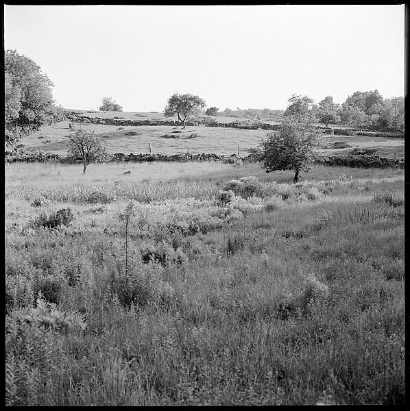 [35 Views of Third Avenue Shopfronts, Apartment Buildings, and Street Scenes, Made for an Unpublished Fortune Portfolio, Including 2 Error Frames and 3 Rural Scenes], Walker Evans (American, St. Louis, Missouri 1903–1975 New Haven, Connecticut), Film negative