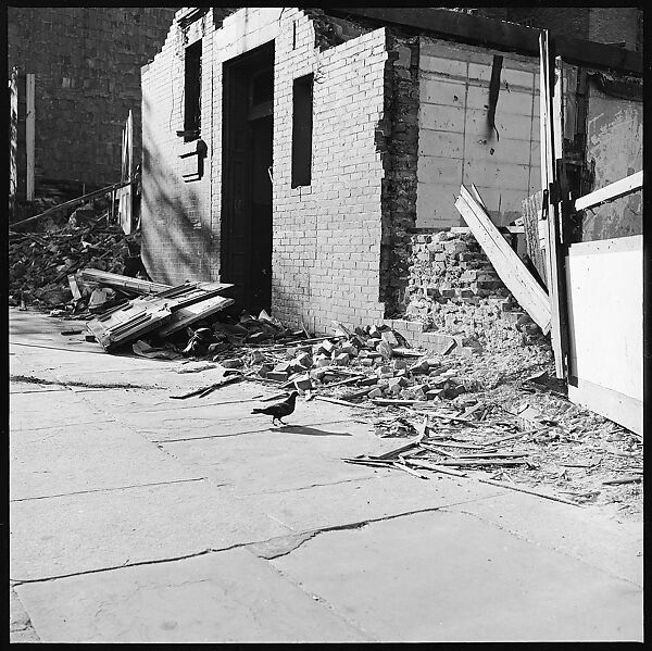 [35 Views of Third Avenue Shopfronts, Apartment Buildings, and Street Scenes, Made for an Unpublished Fortune Portfolio, Including 2 Error Frames and 3 Rural Scenes], Walker Evans (American, St. Louis, Missouri 1903–1975 New Haven, Connecticut), Film negative