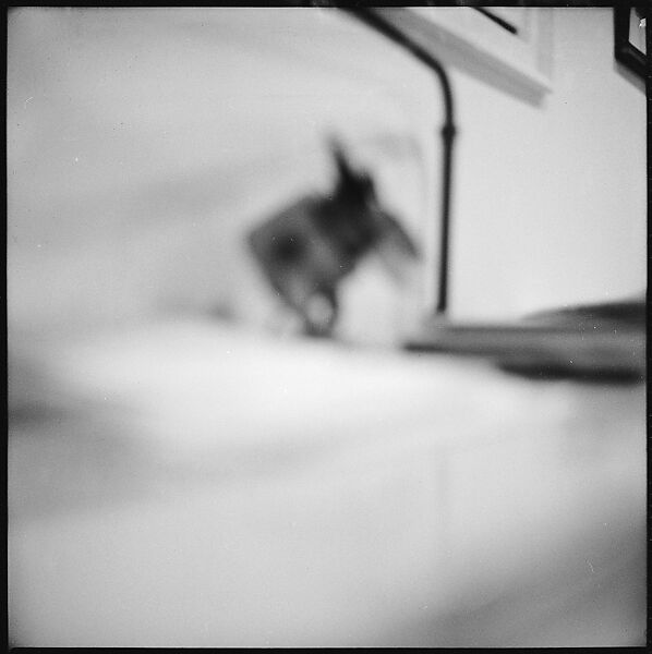 [489 Views and Studies of Brown Brothers Harriman & Company Bankers, Their Offices, and Employees at Work, and Related Views of Partners' Residences, Commissioned by Doubleday & Company for "Partners in Banking", Published 1968], Walker Evans (American, St. Louis, Missouri 1903–1975 New Haven, Connecticut), Film negative