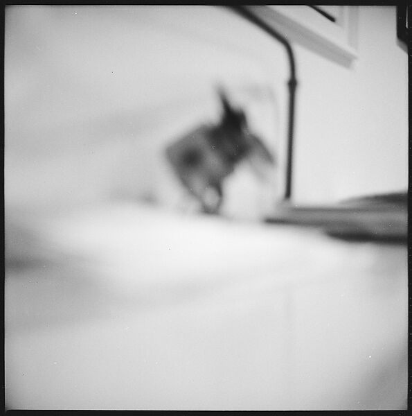 [489 Views and Studies of Brown Brothers Harriman & Company Bankers, Their Offices, and Employees at Work, and Related Views of Partners' Residences, Commissioned by Doubleday & Company for "Partners in Banking", Published 1968], Walker Evans (American, St. Louis, Missouri 1903–1975 New Haven, Connecticut), Film negative