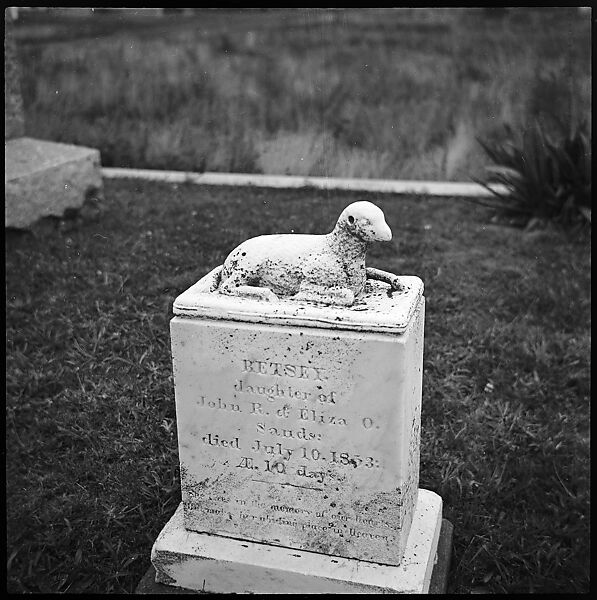 [24 Portraits, Views, and Studies: Jane Smith Ninas, Olivia Saunders Agee, Peggy Hobson, and Folk Victorian Cottages at Oak Bluffs, and Edgartown Tombstones, Martha's Vineyard, Massachusetts], Walker Evans (American, St. Louis, Missouri 1903–1975 New Haven, Connecticut), Film negative