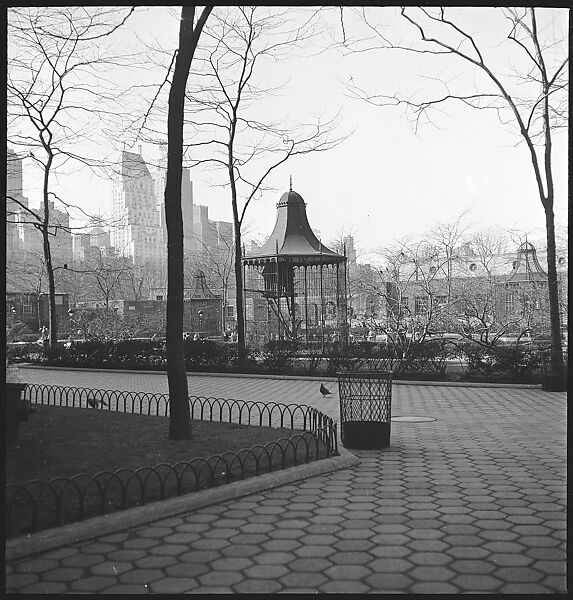 [168 Portraits, Views, and Studies: Unidentified Woman Looking at Photographs with Friend, Walking in Central Park Zoo, and Related Park and Skyline Views, New York City], Walker Evans (American, St. Louis, Missouri 1903–1975 New Haven, Connecticut), Film negative