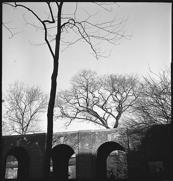 [168 Portraits, Views, and Studies: Unidentified Woman Looking at Photographs with Friend, Walking in Central Park Zoo, and Related Park and Skyline Views, New York City], Walker Evans (American, St. Louis, Missouri 1903–1975 New Haven, Connecticut), Film negative