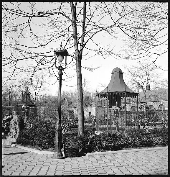 [168 Portraits, Views, and Studies: Unidentified Woman Looking at Photographs with Friend, Walking in Central Park Zoo, and Related Park and Skyline Views, New York City], Walker Evans (American, St. Louis, Missouri 1903–1975 New Haven, Connecticut), Film negative