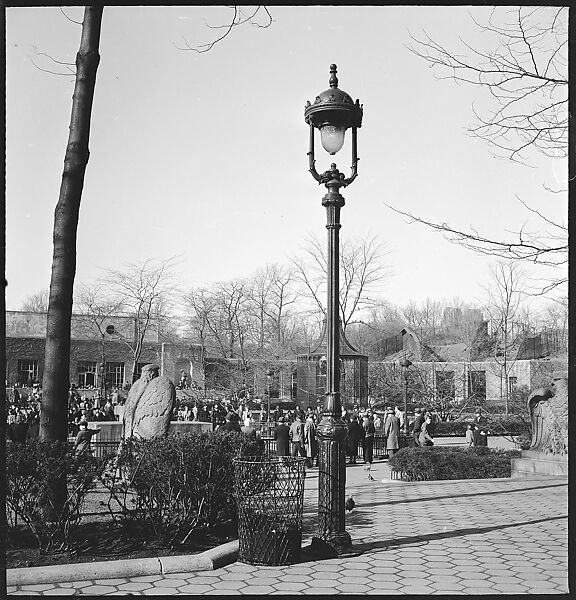 [168 Portraits, Views, and Studies: Unidentified Woman Looking at Photographs with Friend, Walking in Central Park Zoo, and Related Park and Skyline Views, New York City], Walker Evans (American, St. Louis, Missouri 1903–1975 New Haven, Connecticut), Film negative