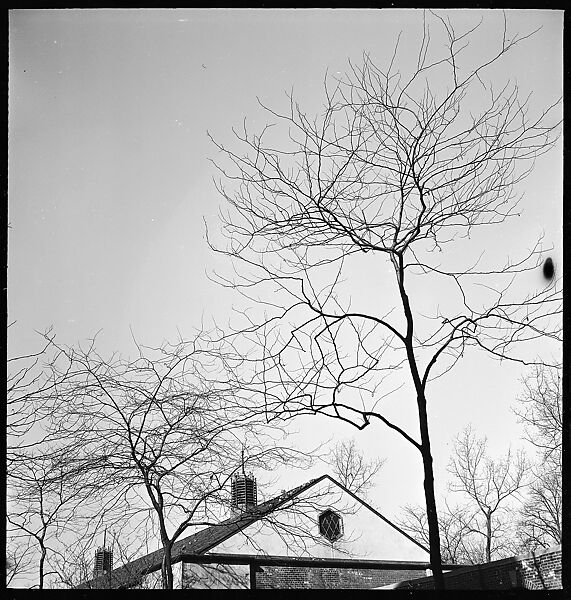 [168 Portraits, Views, and Studies: Unidentified Woman Looking at Photographs with Friend, Walking in Central Park Zoo, and Related Park and Skyline Views, New York City], Walker Evans (American, St. Louis, Missouri 1903–1975 New Haven, Connecticut), Film negative