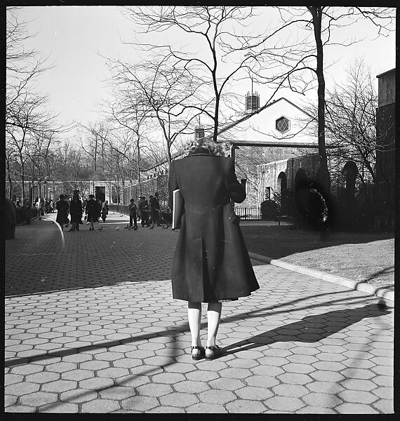 [168 Portraits, Views, and Studies: Unidentified Woman Looking at Photographs with Friend, Walking in Central Park Zoo, and Related Park and Skyline Views, New York City], Walker Evans (American, St. Louis, Missouri 1903–1975 New Haven, Connecticut), Film negative