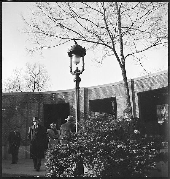 [168 Portraits, Views, and Studies: Unidentified Woman Looking at Photographs with Friend, Walking in Central Park Zoo, and Related Park and Skyline Views, New York City], Walker Evans (American, St. Louis, Missouri 1903–1975 New Haven, Connecticut), Film negative