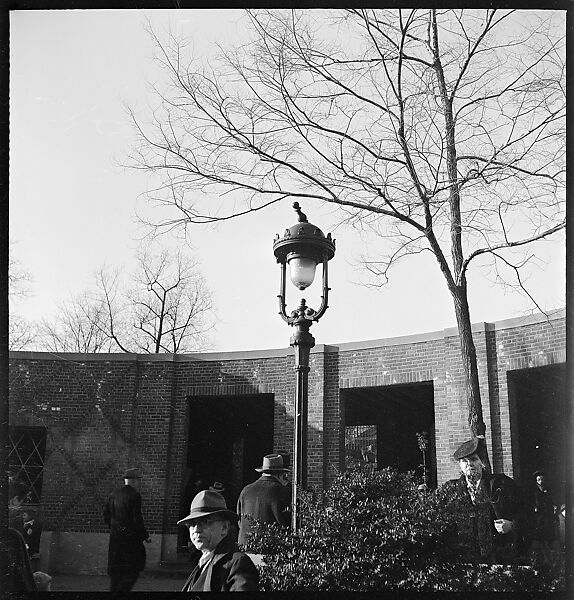 [168 Portraits, Views, and Studies: Unidentified Woman Looking at Photographs with Friend, Walking in Central Park Zoo, and Related Park and Skyline Views, New York City], Walker Evans (American, St. Louis, Missouri 1903–1975 New Haven, Connecticut), Film negative
