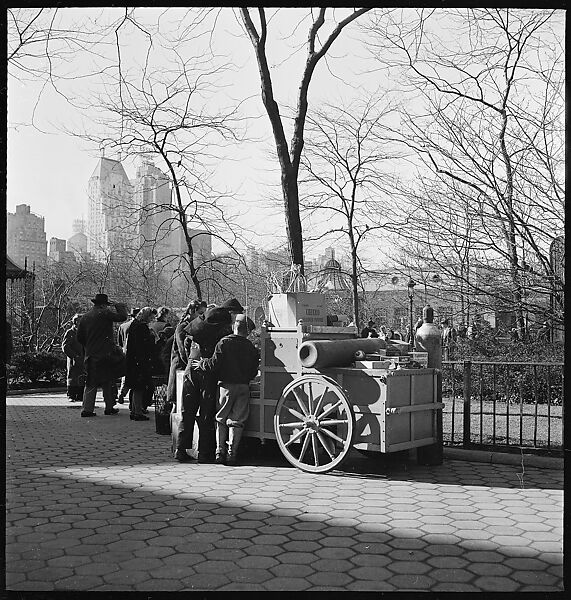 [168 Portraits, Views, and Studies: Unidentified Woman Looking at Photographs with Friend, Walking in Central Park Zoo, and Related Park and Skyline Views, New York City], Walker Evans (American, St. Louis, Missouri 1903–1975 New Haven, Connecticut), Film negative