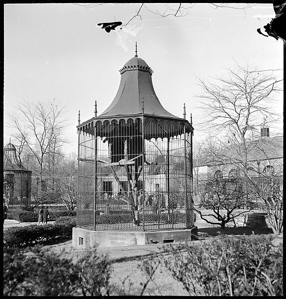 [168 Portraits, Views, and Studies: Unidentified Woman Looking at Photographs with Friend, Walking in Central Park Zoo, and Related Park and Skyline Views, New York City], Walker Evans (American, St. Louis, Missouri 1903–1975 New Haven, Connecticut), Film negative