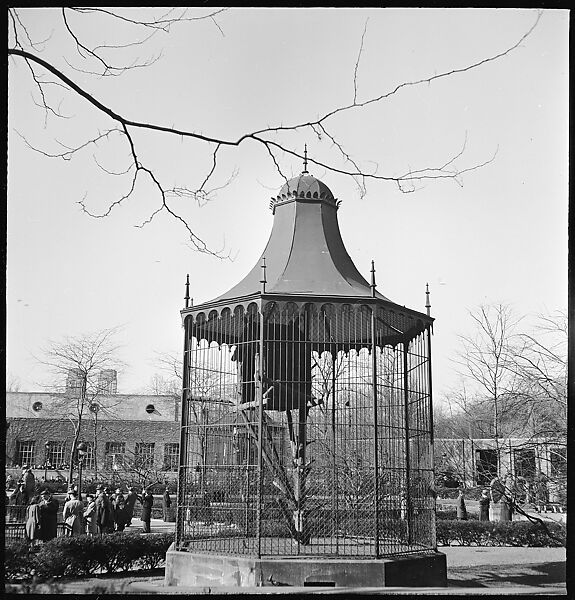[168 Portraits, Views, and Studies: Unidentified Woman Looking at Photographs with Friend, Walking in Central Park Zoo, and Related Park and Skyline Views, New York City], Walker Evans (American, St. Louis, Missouri 1903–1975 New Haven, Connecticut), Film negative