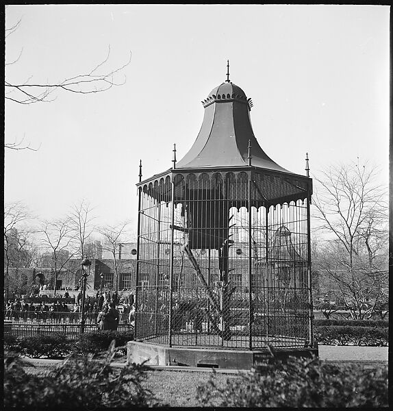 [168 Portraits, Views, and Studies: Unidentified Woman Looking at Photographs with Friend, Walking in Central Park Zoo, and Related Park and Skyline Views, New York City], Walker Evans (American, St. Louis, Missouri 1903–1975 New Haven, Connecticut), Film negative