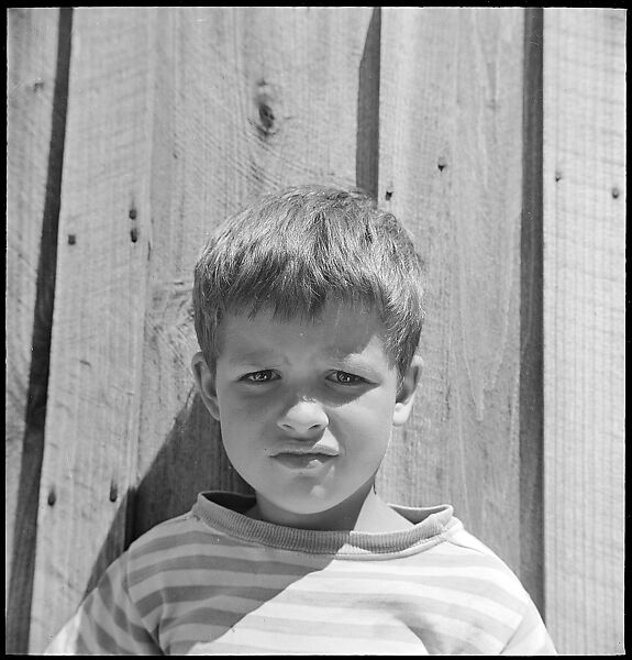 [38 Portraits and Views: Michael Voorhees (14) and Walker Evans' Studio Addition Under Construction (24), Old Lyme, Connecticut], Walker Evans (American, St. Louis, Missouri 1903–1975 New Haven, Connecticut), Film negative