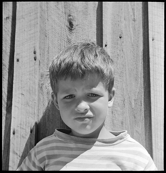[38 Portraits and Views: Michael Voorhees (14) and Walker Evans' Studio Addition Under Construction (24), Old Lyme, Connecticut], Walker Evans (American, St. Louis, Missouri 1903–1975 New Haven, Connecticut), Film negative