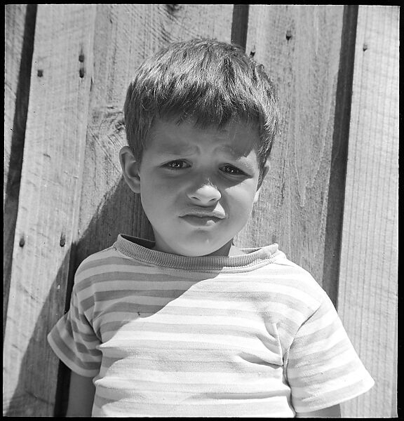 [38 Portraits and Views: Michael Voorhees (14) and Walker Evans' Studio Addition Under Construction (24), Old Lyme, Connecticut], Walker Evans (American, St. Louis, Missouri 1903–1975 New Haven, Connecticut), Film negative