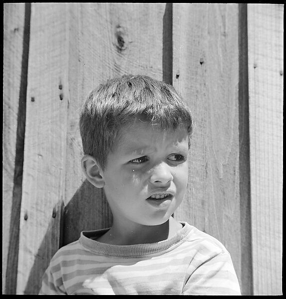 [38 Portraits and Views: Michael Voorhees (14) and Walker Evans' Studio Addition Under Construction (24), Old Lyme, Connecticut], Walker Evans (American, St. Louis, Missouri 1903–1975 New Haven, Connecticut), Film negative