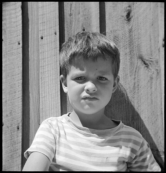 [38 Portraits and Views: Michael Voorhees (14) and Walker Evans' Studio Addition Under Construction (24), Old Lyme, Connecticut], Walker Evans (American, St. Louis, Missouri 1903–1975 New Haven, Connecticut), Film negative